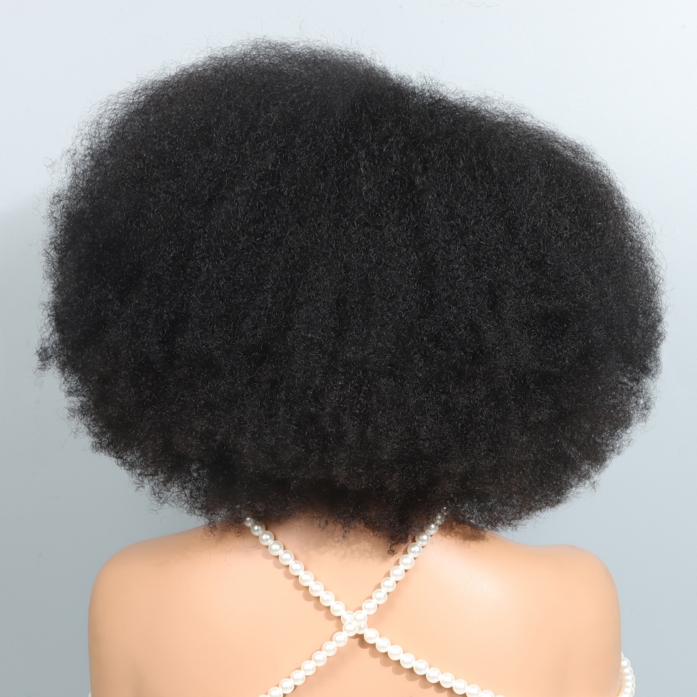 14 Inch Afro Wigs for Black Wo - Glueless Wear And Go Human Hair Wig ulasan dan harga